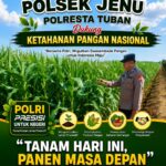 Polisi Polsek jenu Polres Tuban Turun ke Ladang, Dampingi Petani Jagung Dukung Ketahanan Pangan