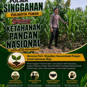 Polsek Singgahan Polresta Tuban Turun Cek Tanaman jagung Warga di Desa Mulyorejo