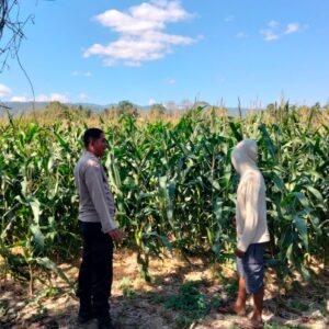 Bhabinkamtibmas Desa Cempi Jaya Sambangi Petani, Imbau Warga Tidak Gunakan Jaring Kawat Beraliran Listrik