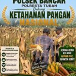 Perkuat Ketahanan Pangan Nasional, Aipda Mariyono Bersama Warga Ngujuran Panen Jagung Raya