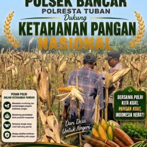 Perkuat Ketahanan Pangan Nasional, Aipda Mariyono Bersama Warga Ngujuran Panen Jagung Raya