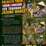 Polsek Soko Polresta Tuban Turun Langsung Cek Tanaman Jagung Warga