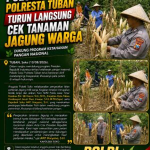 Polsek Soko Polresta Tuban Turun Langsung Cek Tanaman Jagung Warga