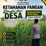 Polri Dukung Astacita, Polsek Rengel Polres Tuban Turun Cek Tanaman Jagung Warga di Desa Pekuwon