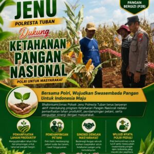 Polisi Polsek jenu Polres Tuban Turun ke Ladang, Dampingi Petani Jagung Dukung Ketahanan Pangan