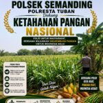 Polri Dukung Astacita, Polsek Semanding Polresta Tuban Turun Cek Tanaman jagung milik Warga di Desa Semanding