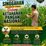 Polsek Singgahan Polresta Tuban Turun Cek Tanaman jagung Warga di Desa Mulyorejo