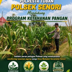 Polisi RW Polsek Senori Polresta Tuban Monitoring Tanaman Jagung Milik Warga Desa Medalem Guna Mendukung Program Ketahanan Pangan