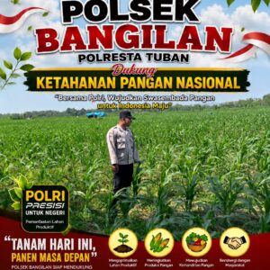 MONITORING KETAHANAN PANGAN TANAMAN JAGUNG