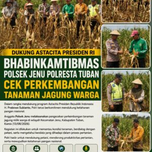 Dukung Astacita Presiden RI, Bhabinkamtibmas Polsek Jenu Polresta Tuban Cek Perkembangan Tanaman Jagung Warga