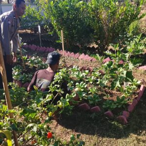 Dukung Program Asta Cita Ketahanan Pangan, Bhabinkamtibmas Desa Pelat Dorong Warga Manfaatkan Lahan Produktif