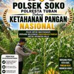 Polsek Tambakboyo Polres Tuban Turun Cek Tanaman jagung Warga di Desa Ngulahan