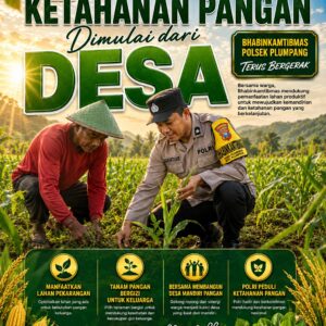 Polsek Plumpang Polresta Tuban Turun Langsung Cek Tanaman Jagung Warga