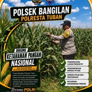 Monitoring Ketahanan Pangan Tanaman Jagung