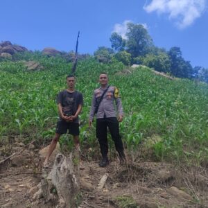 Dukung Ketahanan Pangan Nasional, Bhabinkamtibmas Desa Tatebal Tinjau Langsung Lahan Perkebunan Jagung Warga