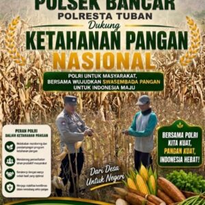 Dukung Program Ketahanan Pangan Nasional, Anggota Polsek Bancar Turun Ke Lahan Panen Jagung Bersama Warga Cingklung