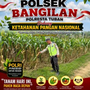 MONITORING KETAHANAN PANGAN TANAMAN JAGUNG