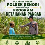 Mendukung Program Ketahanan Pangan Nasional Anggota Bhabinkamtibmas Polsek Senori Polresta Tuban Monitoring Tanaman Jagung Warga Desa Leran