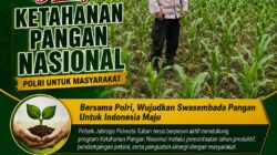 Dukung Asta Cita, Polsek Jatirogo Turun Langsung Pantau Ladang Jagung Warga Desa Besowo