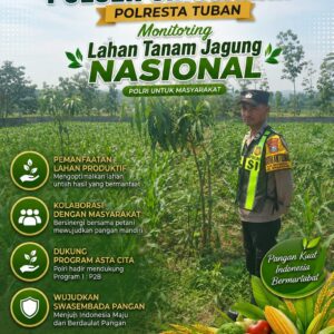 Polsek Singgahan Polresta Tuban Turun Cek Tanaman jagung Warga di Desa Mulyorejo