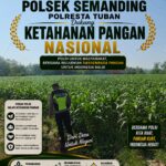 Polri Dukung Astacita, Polsek Semanding Polresta Tuban Turun Cek Tanaman jagung milik Warga di Desa Ngino