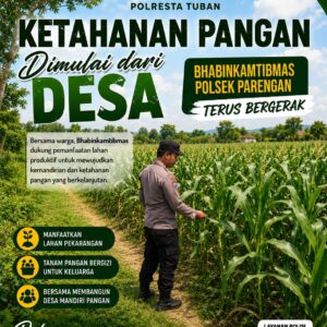DALAM RANGKA POLRI DUKUNGAN PROGRAM ASTACITA, BHABINKAMTIBMAS DESA PACING POLSEK PARENGAN POLRESTA TUBAN SAMBANGI LOKASI TANAMAN JAGUNG DI DESA PACING KEC. PARENGAN