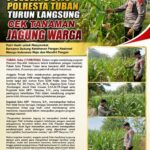 Polsek Soko Polresta Tuban Turun Langsung Cek Tanaman Jagung Warga