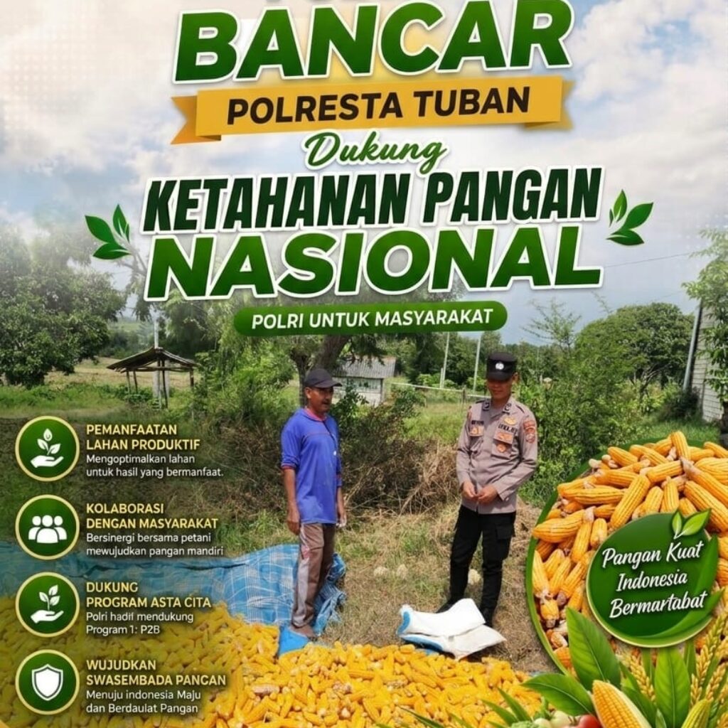 ​Dukung Ketahanan Pangan, Bripda Gustian Polsek Bancar Sambangi Petani dan Monitor Panen Jagung di Desa Pugoh