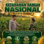 Polsek Plumpang Polresta Tuban Turun Langsung Cek Tanaman Jagung Warga