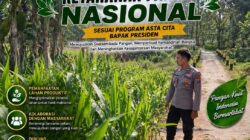 Polri Dukung Astacita, Polsek Semanding Polresta Tuban Turun Cek Tanaman jagung milik Warga di Desa Ngino