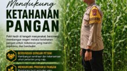 Polsek Singgahan Polresta Tuban Turun Cek Tanaman jagung Warga di Desa Mulyoagung