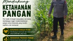 Polri Dukung Astacita, Polsek Merakurak Polres Tuban Turun Cek Tanaman Jagung Warga di Desa Tuwiri Wetan