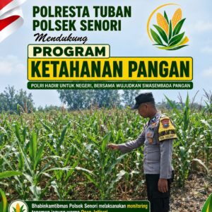 Mendukung Program Ketahanan Pangan Nasional Anggota Bhabinkamtibmas Polsek Senori Polresta Tuban Monitoring Tanaman Jagung Warga Desa Jatisari