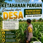 Dukung Program ASTACITA, Bhabinkamtibmas Desa Suciharjo Polsek Parengan Polresta Tuban sambangi lokasi tanaman Jagung Di Desa Suciharjo Kec. Parengan