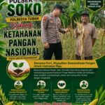 Polsek Soko Polresta Tuban Turun Langsung Cek Tanaman Jagung Warga