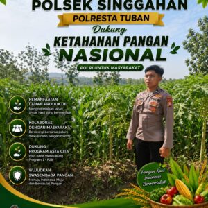 Polsek Singgahan Polresta Tuban Turun Cek Tanaman jagung Warga di Desa Mulyorejo