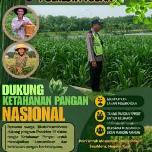 Polri Dukung Astacita, Polsek Rengel Polresta Tuban Turun Cek Tanaman Jagung Warga di Desa Sawahan
