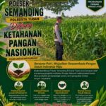 Polri Dukung Astacita, Polsek Semanding Polresta Tuban Turun Cek Tanaman jagung milik Warga di Desa Ngino