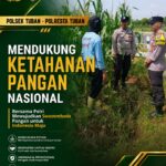 Polsek Tuban Dukung Ketahanan Pangan Nasional melalui Pendampingan Petani