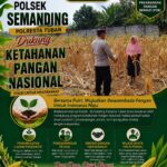 Polisi RW Polsek Senori Polresta Tuban Pantau Kodisi Tanaman Jagung Milik Warga Desa Medalem Guna Mendukung Program Ketahanan Pangan