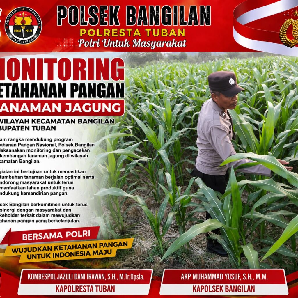MONITORING KETAHANAN PANGAN TANAMAN JAGUNG DI WILAYAH KECAMATAN BANGILAN