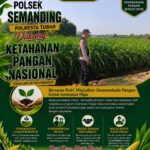 Polri Dukung Astacita, Polsek Semanding Polresta Tuban Turun Cek Tanaman jagung milik Warga di Desa Ngino