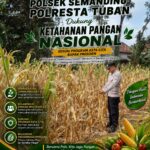 Polri Dukung Astacita, Polsek Semanding Polresta Tuban Turun Cek Tanaman jagung milik Warga di Desa Jadi