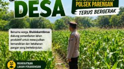 POLRI MENDUKUNG PROGRAM ASTACITA PRESIDEN RI, ANGGOTA POLSEK PARENGAN POLRESTA TUBAN LAKSANAKAN PENDAMPINGAN PETANI JAGUNG DI DESA SUKOREJO KEC. PARENGAN