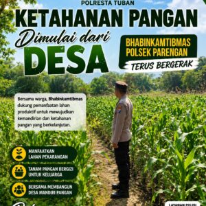 POLRI MENDUKUNG PROGRAM ASTACITA PRESIDEN RI, ANGGOTA POLSEK PARENGAN POLRESTA TUBAN LAKSANAKAN PENDAMPINGAN PETANI JAGUNG DI DESA SUKOREJO KEC. PARENGAN