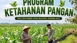 Anggota Bhabinkamtibmas Polsek Senori Polresta Tuban Monitoring Tanaman Jagung Warga Desa Jatisari Guna Mendukung Program Ketahanan Pangan Nasional