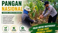 Polsek Soko Polresta Tuban Turun Langsung Cek Tanaman Jagung Warga