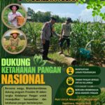Polri Dukung Astacita, Polsek Rengel Polresta Tuban Turun Cek Tanaman Jagung Warga di Desa Sawahan
