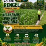 Polri Dukung Astacita, Polsek Rengel Polresta Tuban Turun Cek Tanaman Jagung Warga di Desa Pekuwon