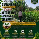 Polri Dukung Astacita, Polsek Semanding Polresta Tuban Turun Cek Tanaman jagung milik Warga di Desa Ngino